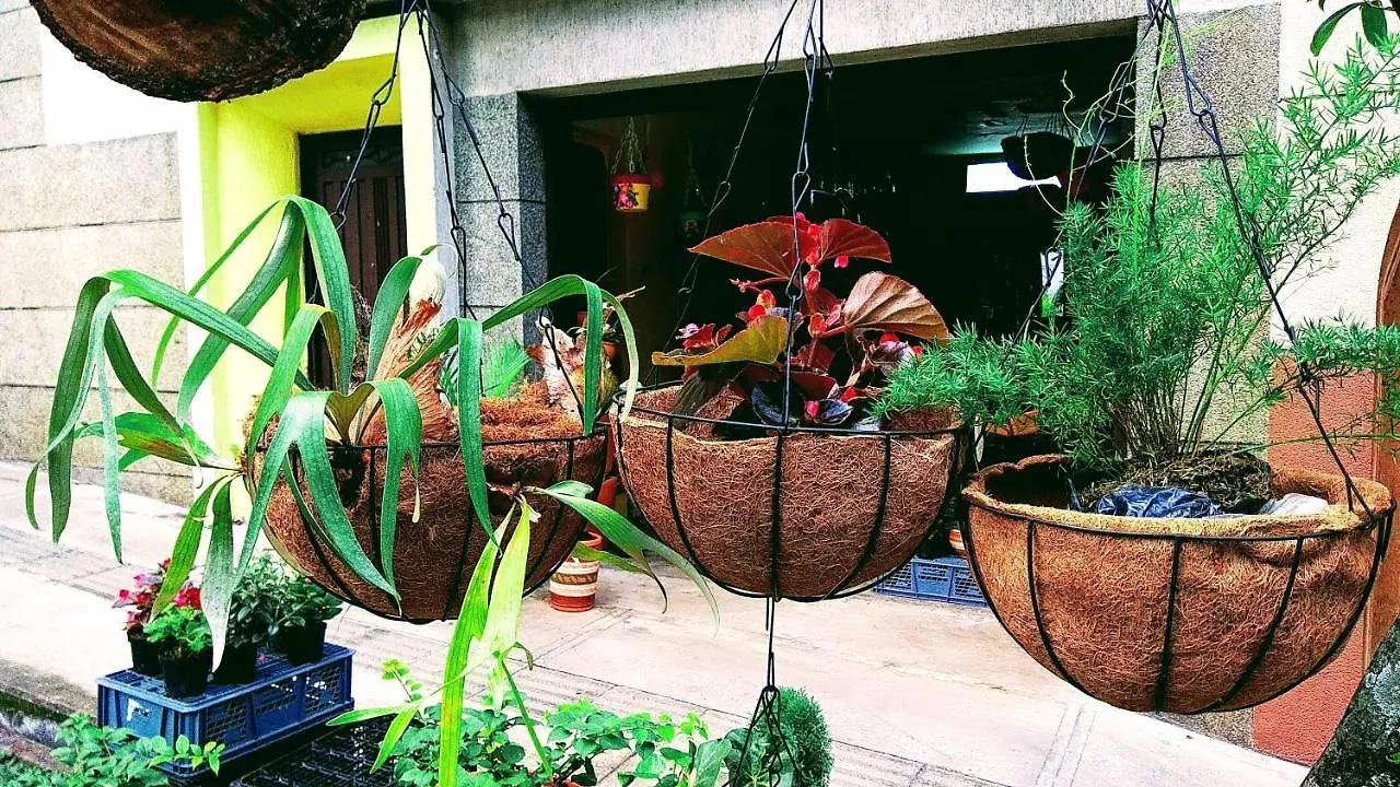 Casa Luna -Estrategica Ubicacion- Medellin Guest house