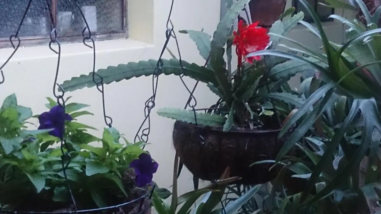 Casa Luna -Estrategica Ubicacion- Medellin Guest house